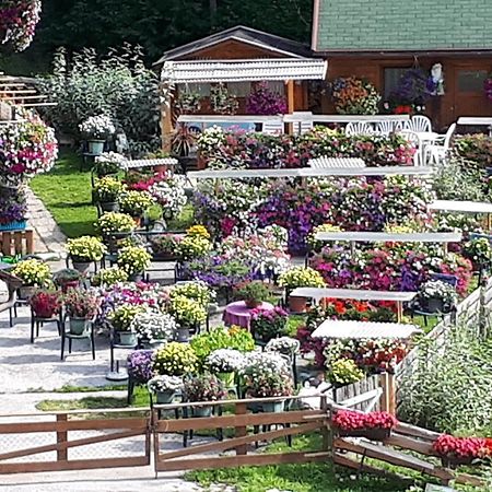 Appartement Planaiblick Schladming Zewnętrze zdjęcie
