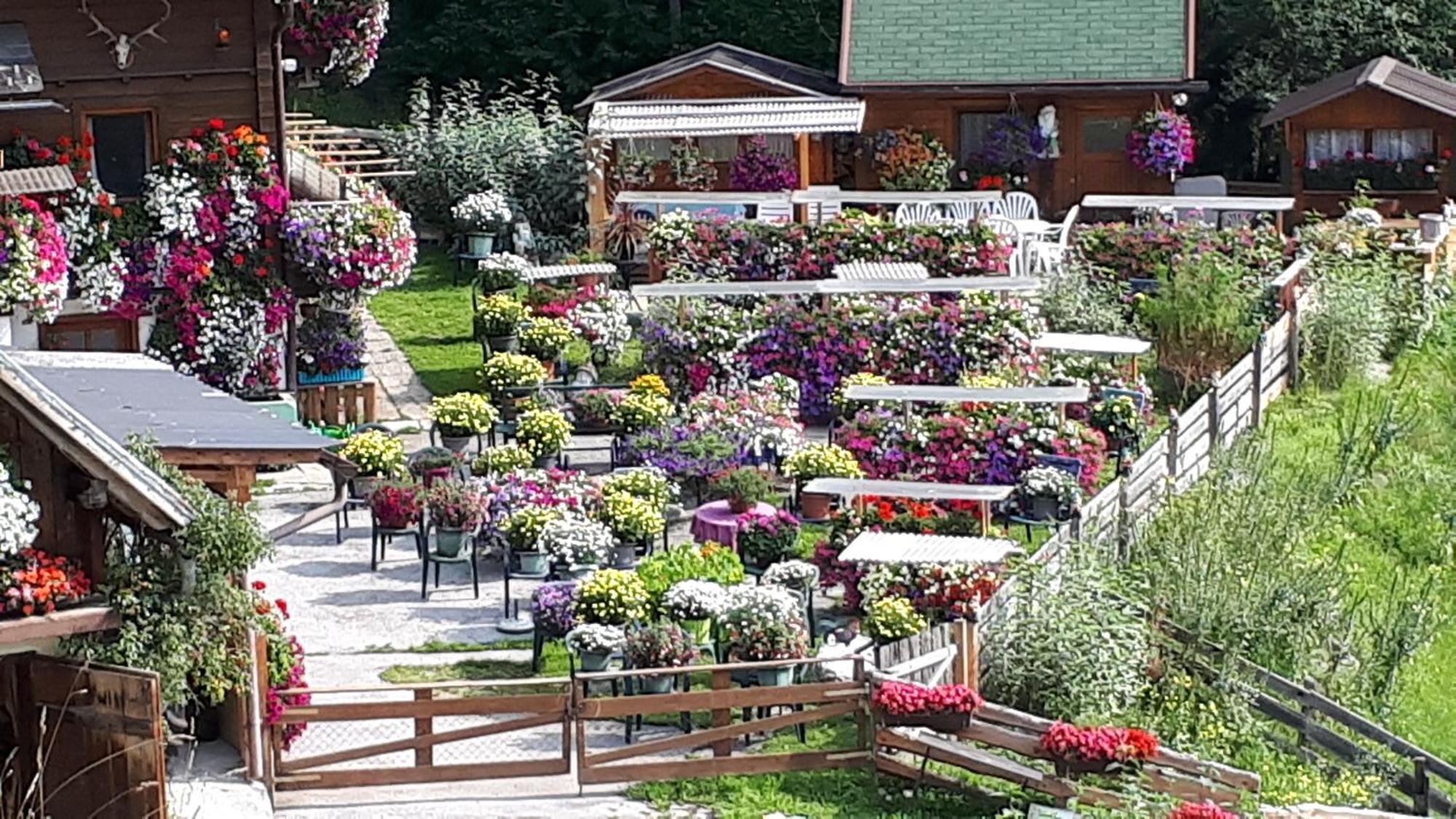 Appartement Planaiblick Schladming Zewnętrze zdjęcie